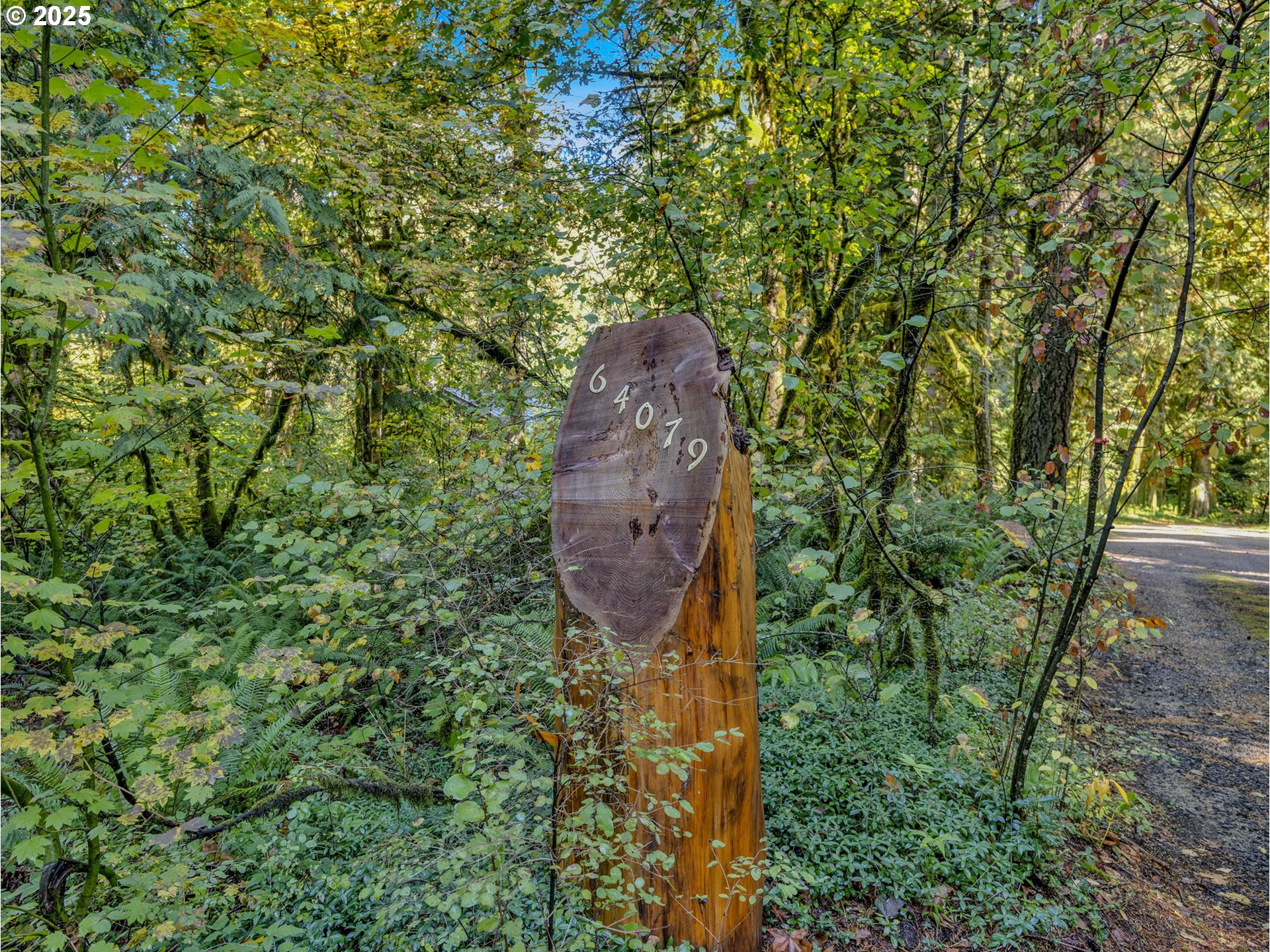 64079 East Barlow Trail Road Rhododendron, OR 97049 - Photo 48 of 48 a aerial view of a garden with plants and large trees