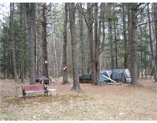 34 Lost Mile Road Parsonsfield, ME 04047 - Photo 3 of 10 Yard/Garden.