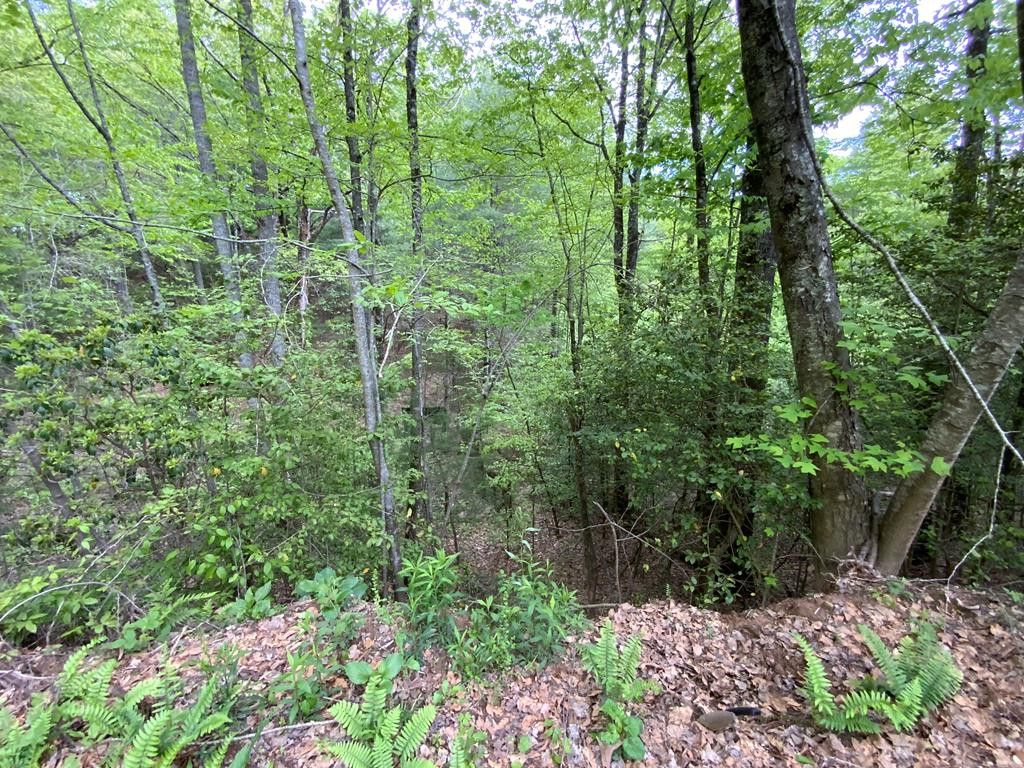 182 Revis Road Andrews, NC 28901 - Photo 29 of 32
