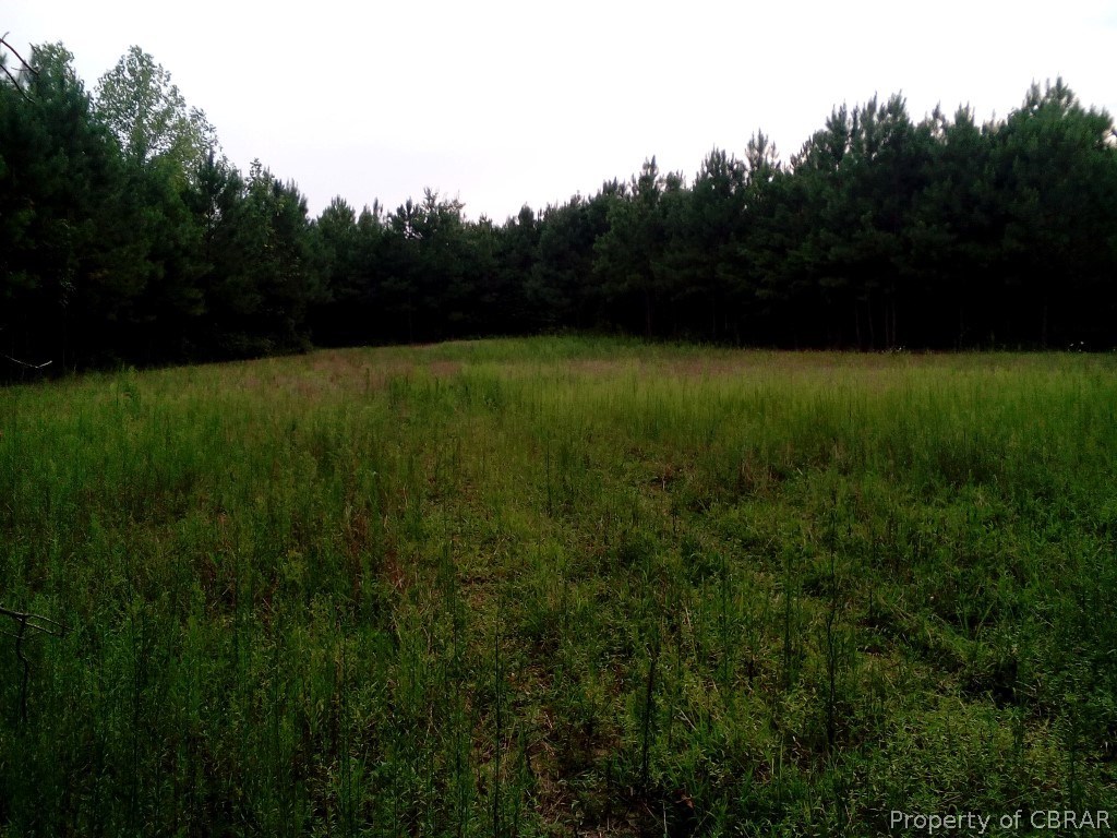 57.4-ac 57.4-ac Poplar Grove Road Center Cross, VA 22437 - Photo 7 of 12