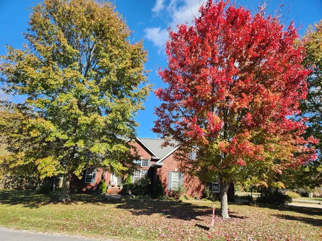 $514,900 | 2102 Salem Woods Drive, Rockvale, TN 37153