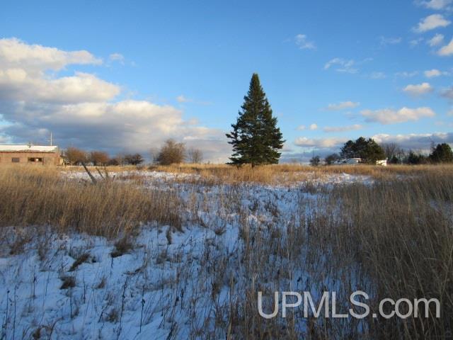 M35 - Tower Road Perkins, MI 49872 - Photo 14 of 15
