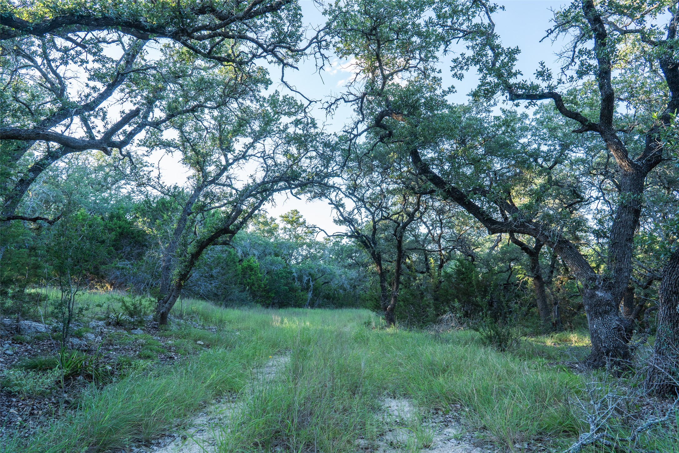 Tbd Crabapple Road Blanco, TX 78606 - Photo 5 of 17