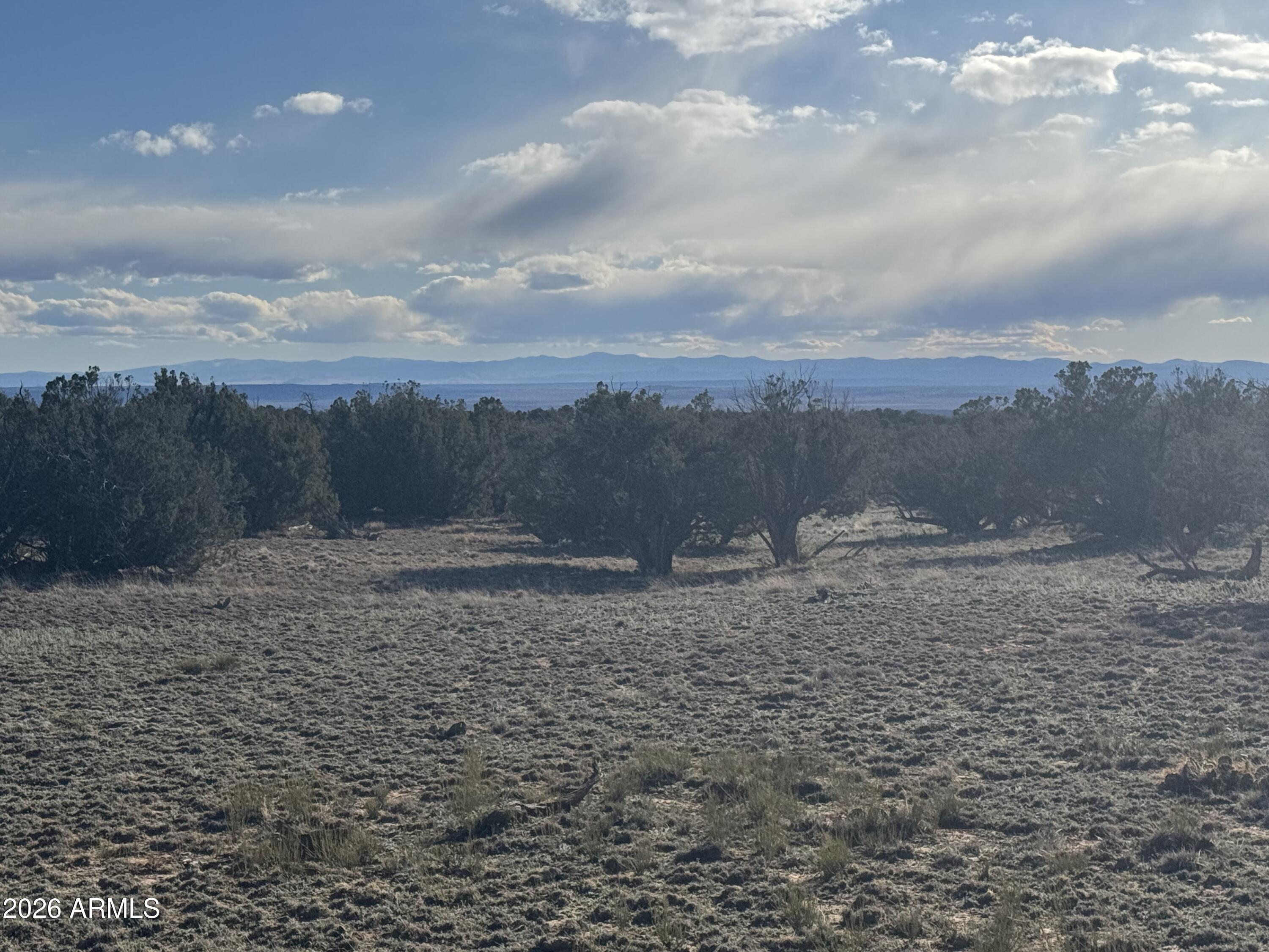Lot 93 Red Sky Ranch, Unit 93 St. Johns, AZ 85936 - Photo 3 of 15 a view of a dry yard