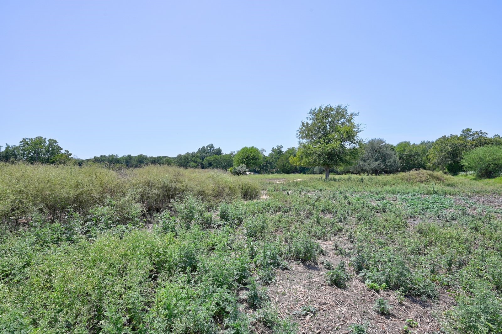 19100 Pickens Road Washington, TX 77880 - Photo 12 of 23 Gallery Image 12