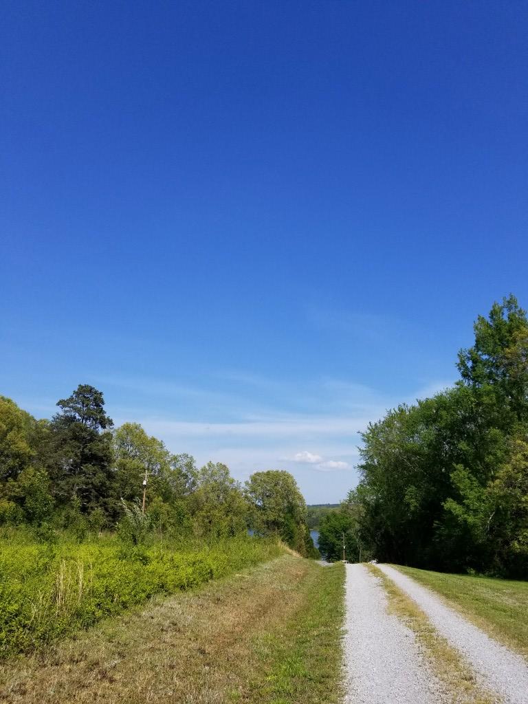 2769 New Lake Road Spring City, TN 37381 - Photo 11 of 11 20180502_164122 (Medium)