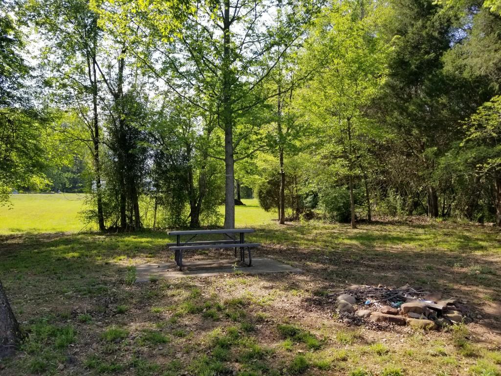 2769 New Lake Road Spring City, TN 37381 - Photo 6 of 11 6