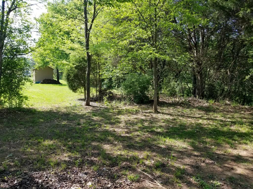 2769 New Lake Road Spring City, TN 37381 - Photo 8 of 11 8