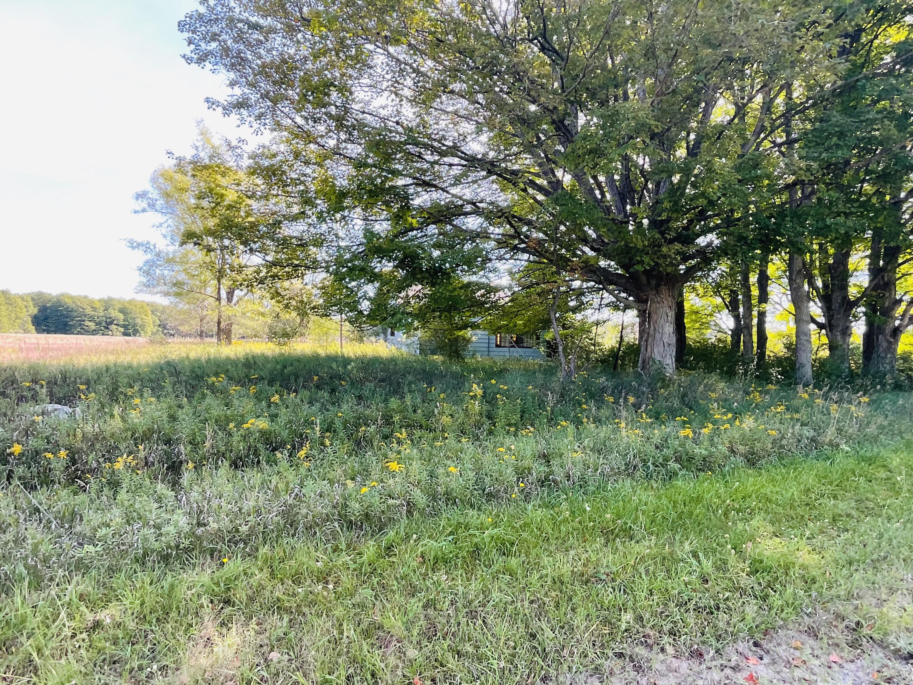 15285 Ware Road Arcadia, MI 49613 - Photo 10 of 15 035D0F88-5388-4D82-A569-40636B6432EB