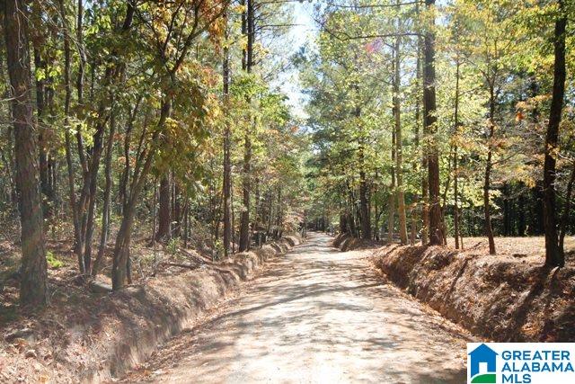0 County Road 928, Unit 19 Delta, AL 36258 - Photo 9 of 43