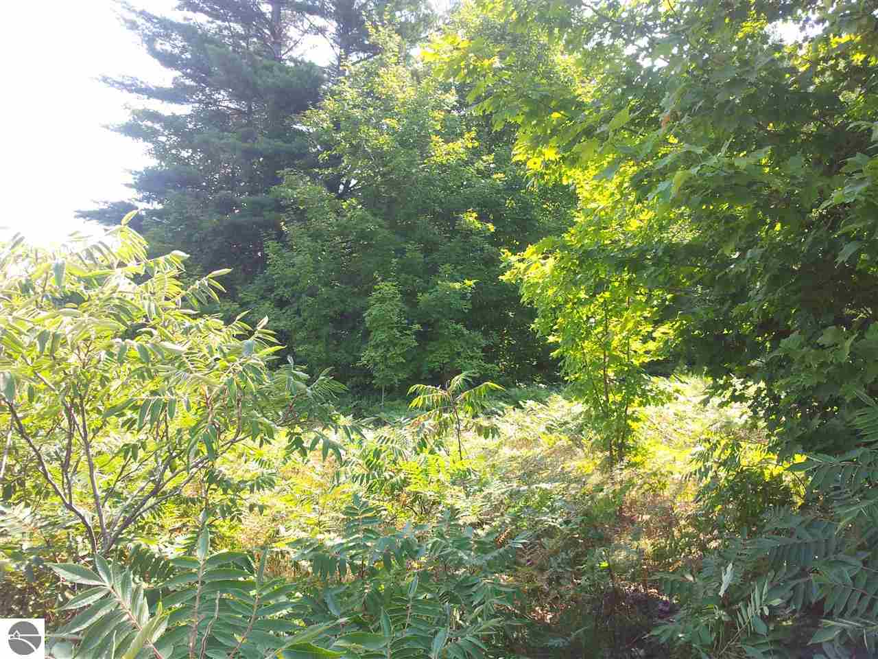 10477 Cedar Run Road Traverse City, MI 49685 - Photo 28 of 28 1775383-27.JPG