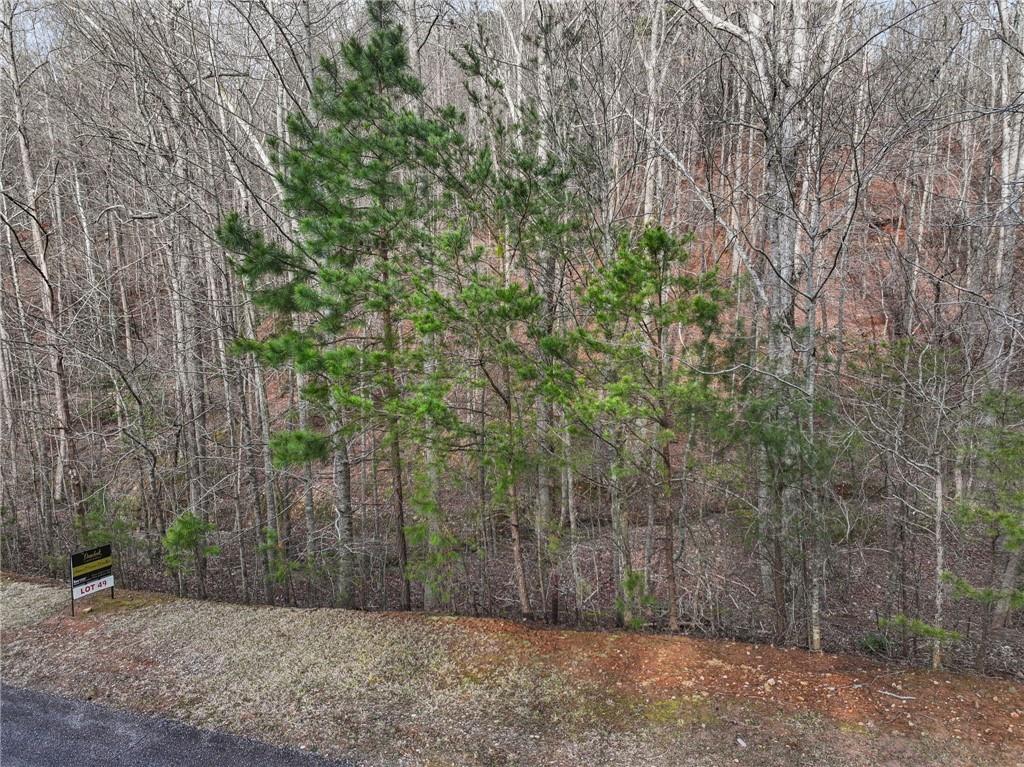 49 Old Stamp Mill Road Dahlonega, GA 30533 - Photo 5 of 35 a backyard of a house with large trees and wooden fence