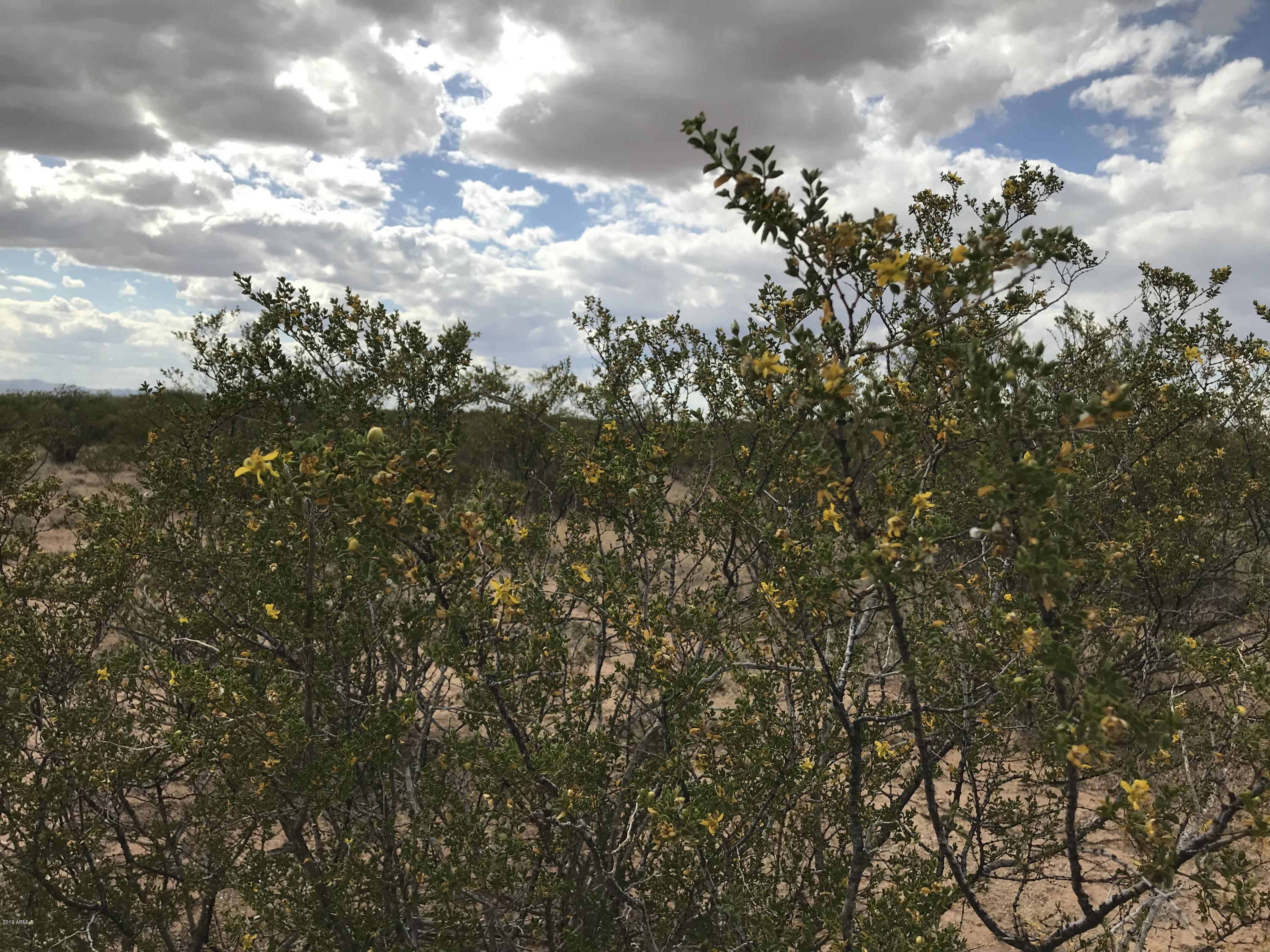 17 North Leslie Canyon Road Douglas, AZ 85607 - Photo 12 of 20 IMG_0659