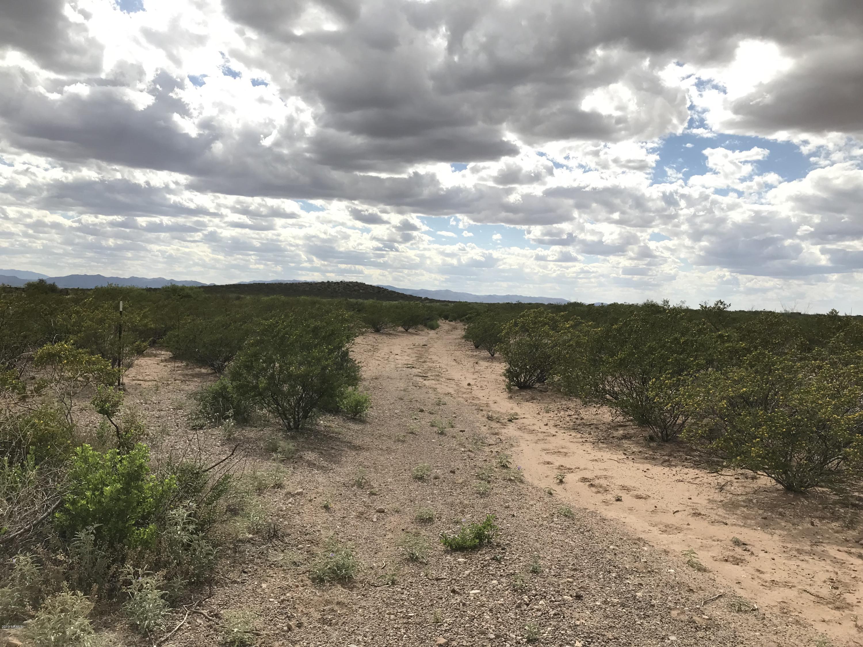 17 North Leslie Canyon Road Douglas, AZ 85607 - Photo 10 of 20 IMG_0654