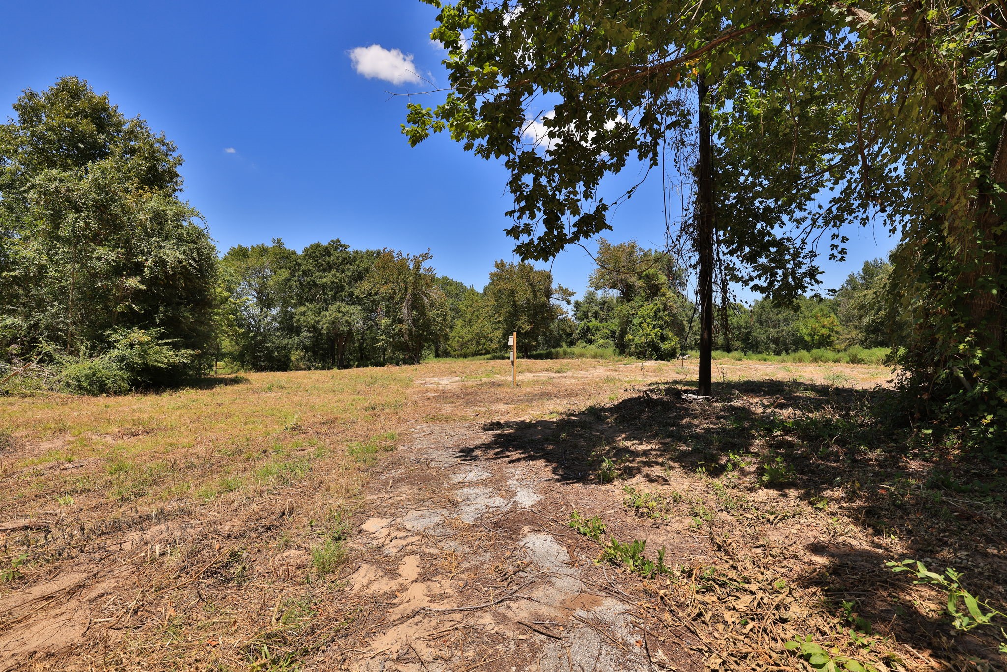 42219 Cedar Creek Road Hempstead, TX 77445 - Photo 11 of 29 Gallery Image 11
