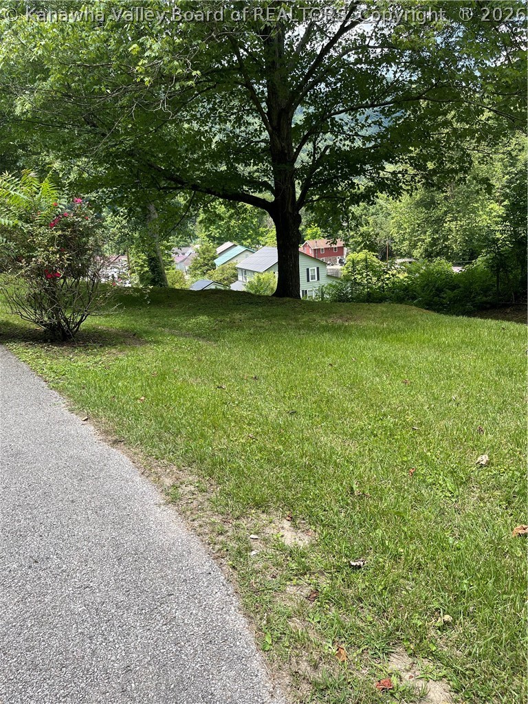 122 Cedar Ridge Road Chauncey, WV 25612 - Photo 10 of 25 Gallery Image 10