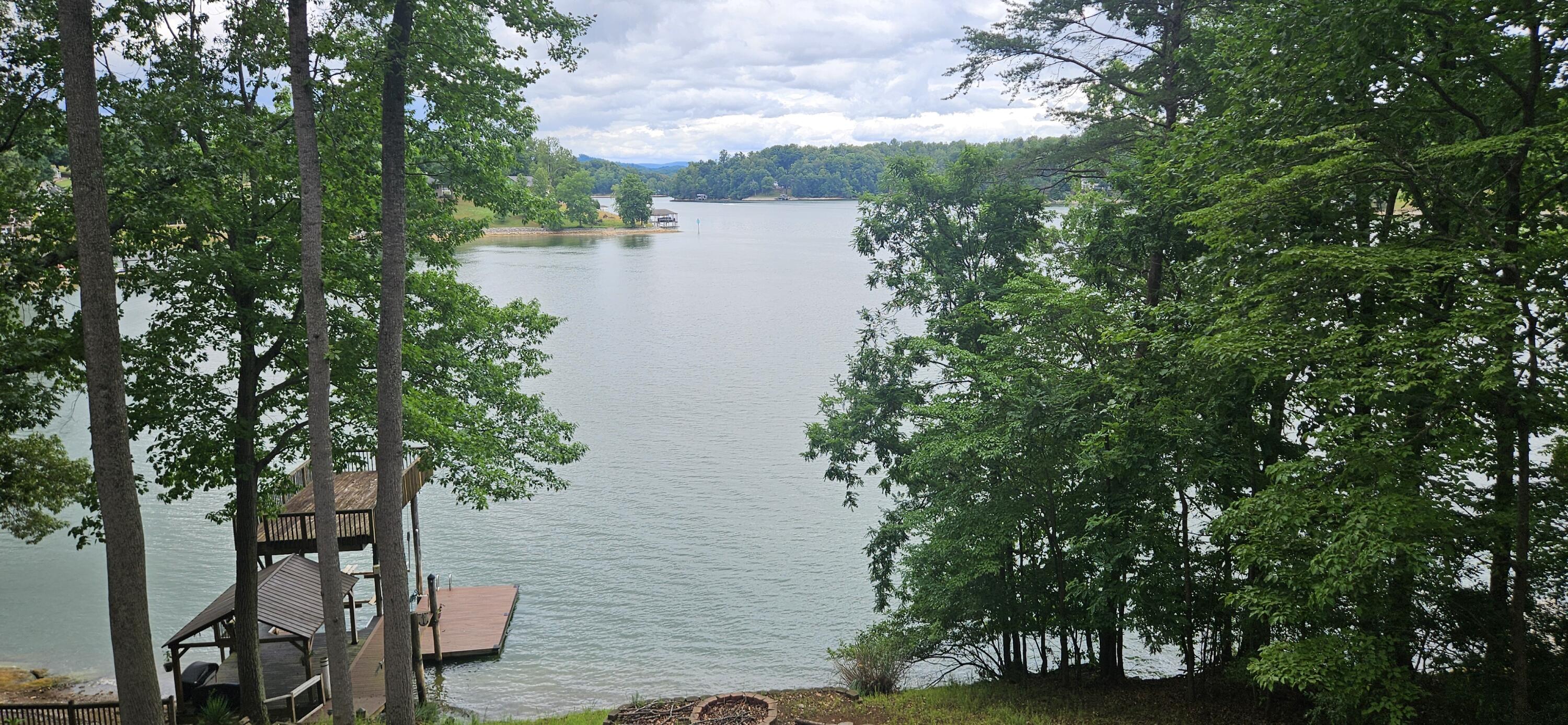67 Overlook Road Hardy, VA 24101 - Photo 44 of 119 a view of a lake from a yard