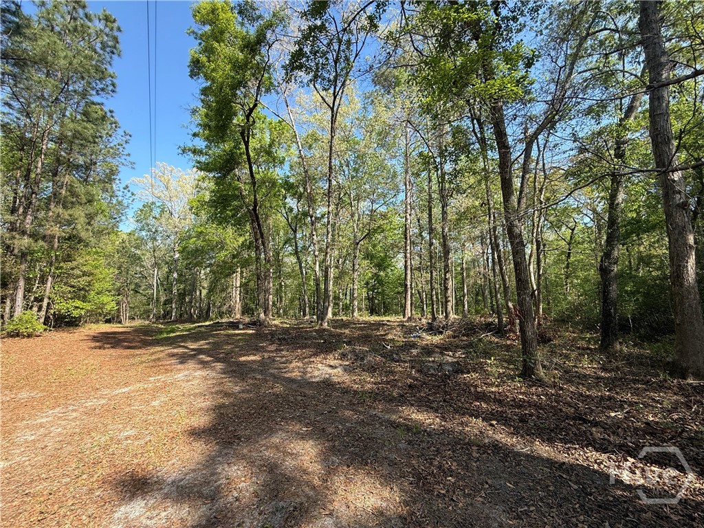 315 High Bluff Road Rincon, GA 31326 - Photo 2 of 13 Gallery Image 2