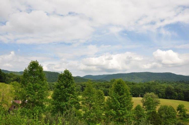 44 Duncan Branch Road Meadow Bridge, WV 25976 - Photo 20 of 35 Gallery Image 20