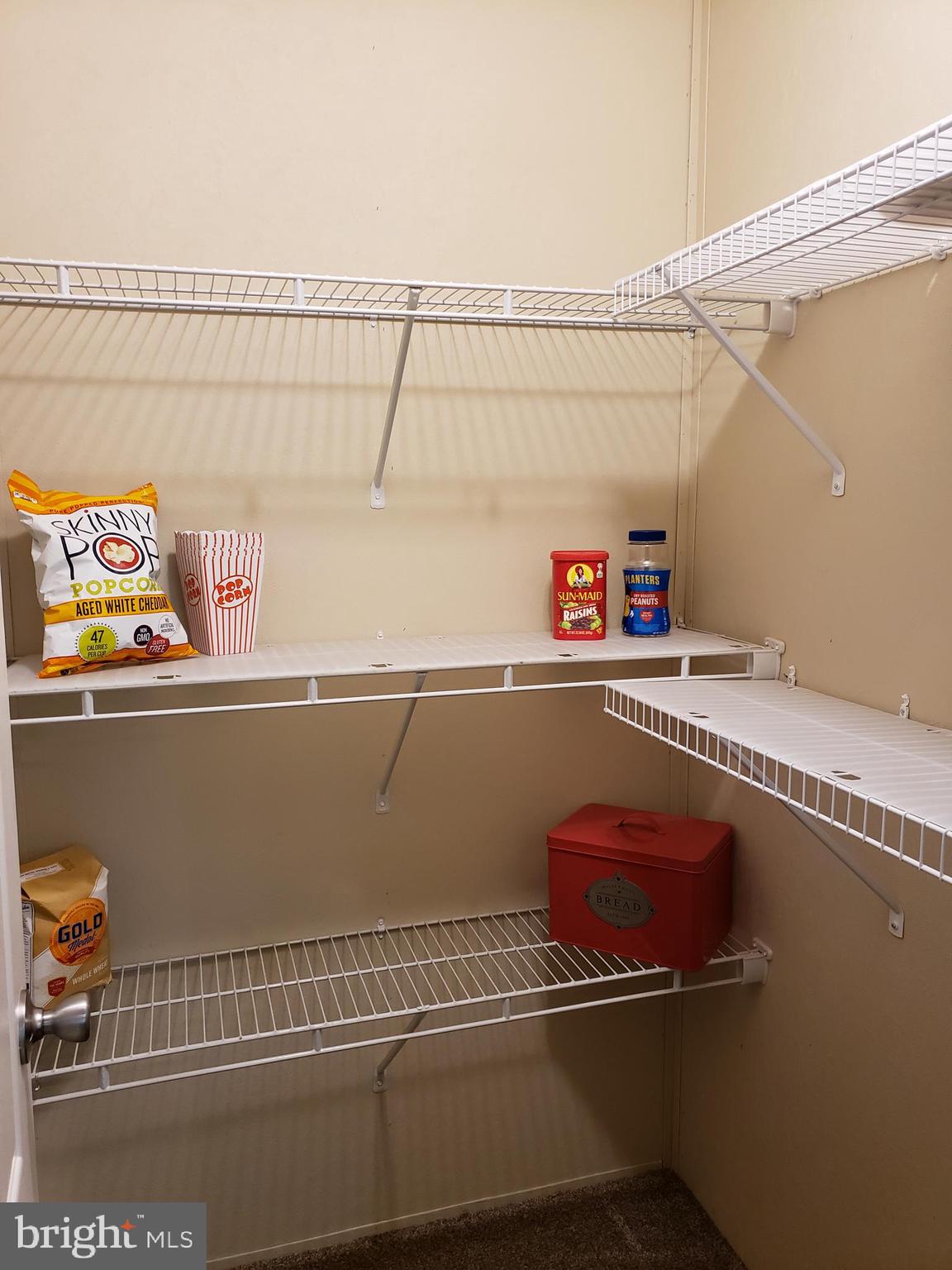 357 Packing House Road Berkeley Springs, WV 25411 - Photo 14 of 42 Pantry