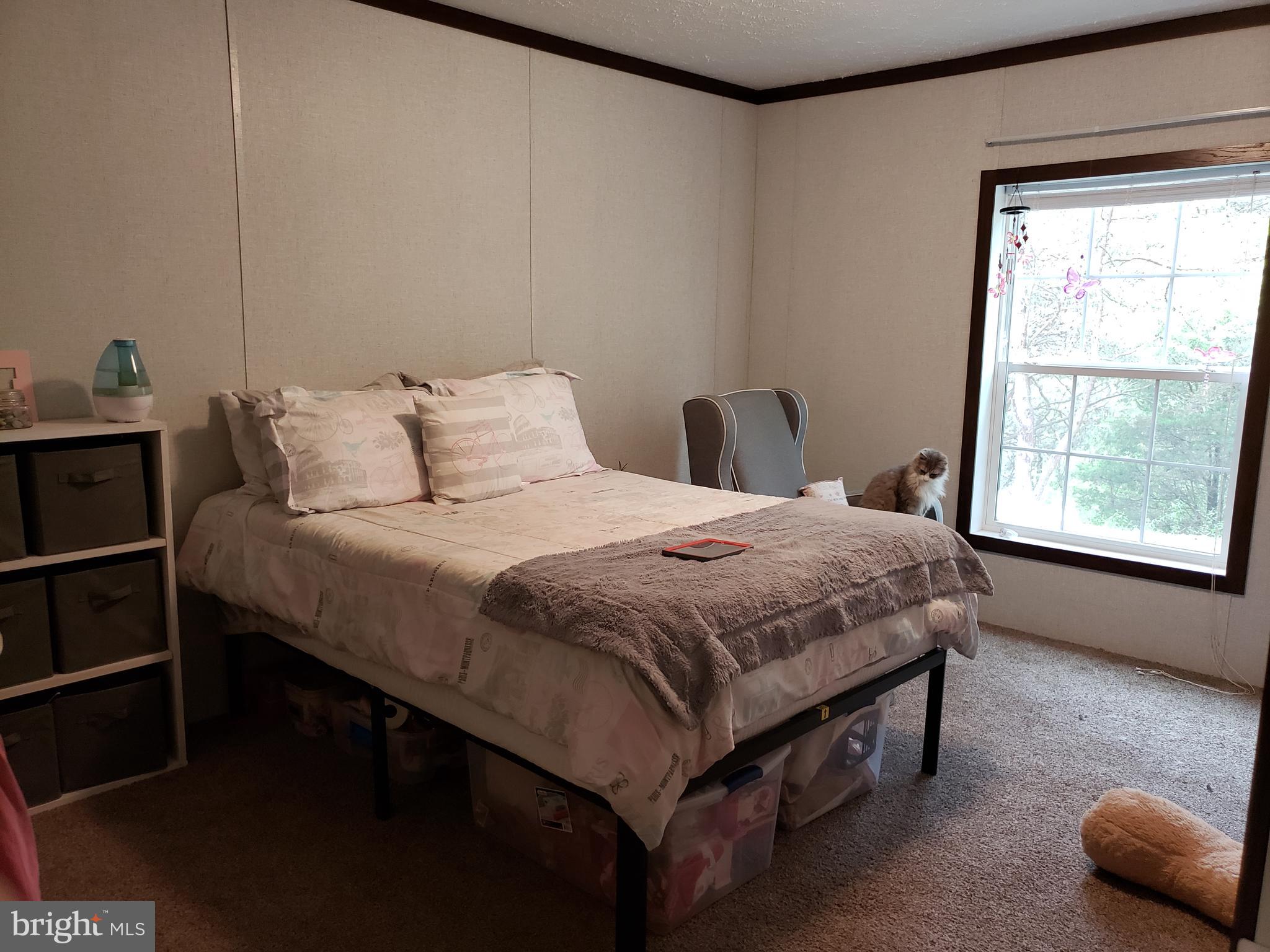 357 Packing House Road Berkeley Springs, WV 25411 - Photo 28 of 42 3rd Bedroom