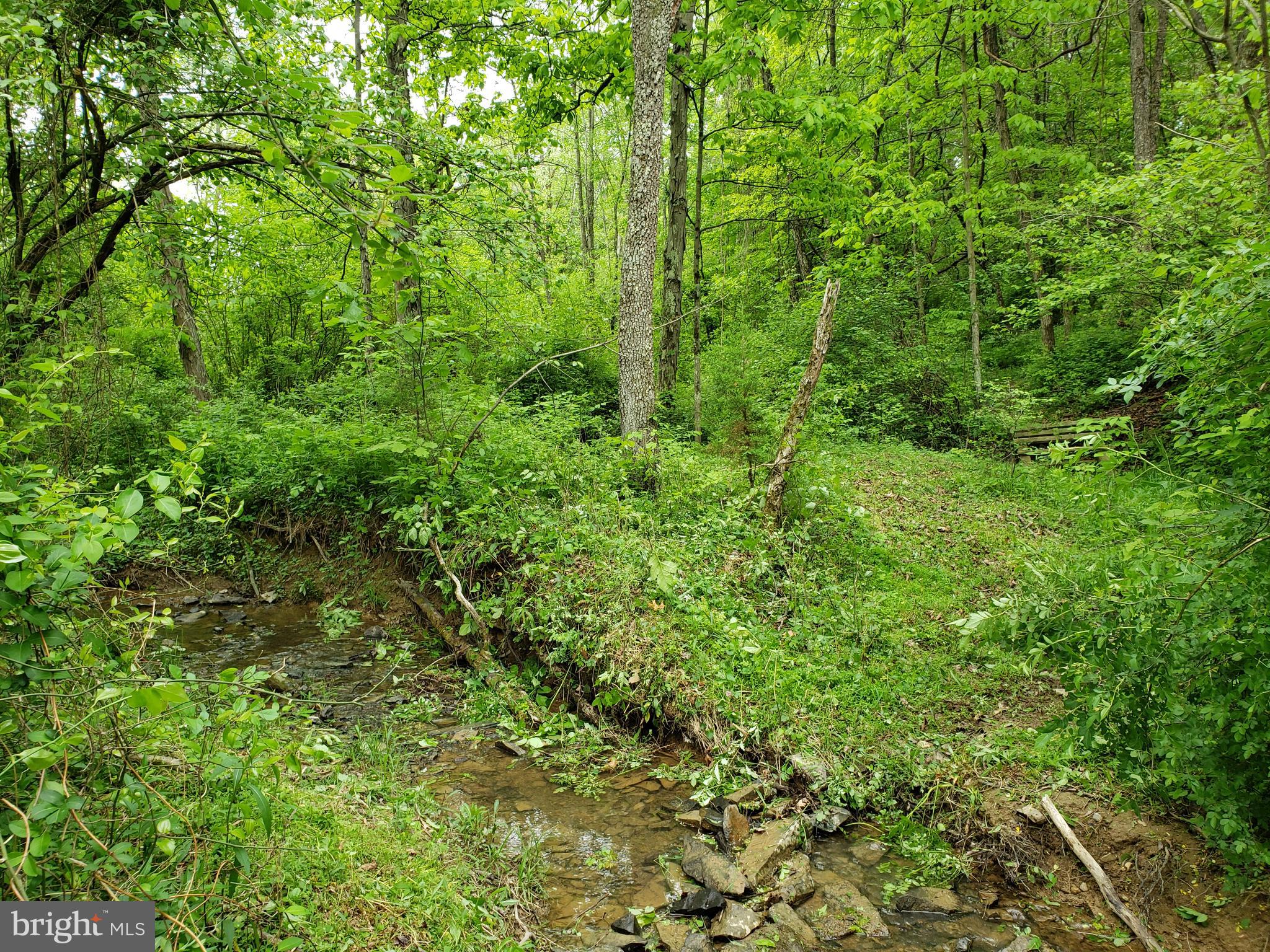 357 Packing House Road Berkeley Springs, WV 25411 - Photo 35 of 42 Stream on the property