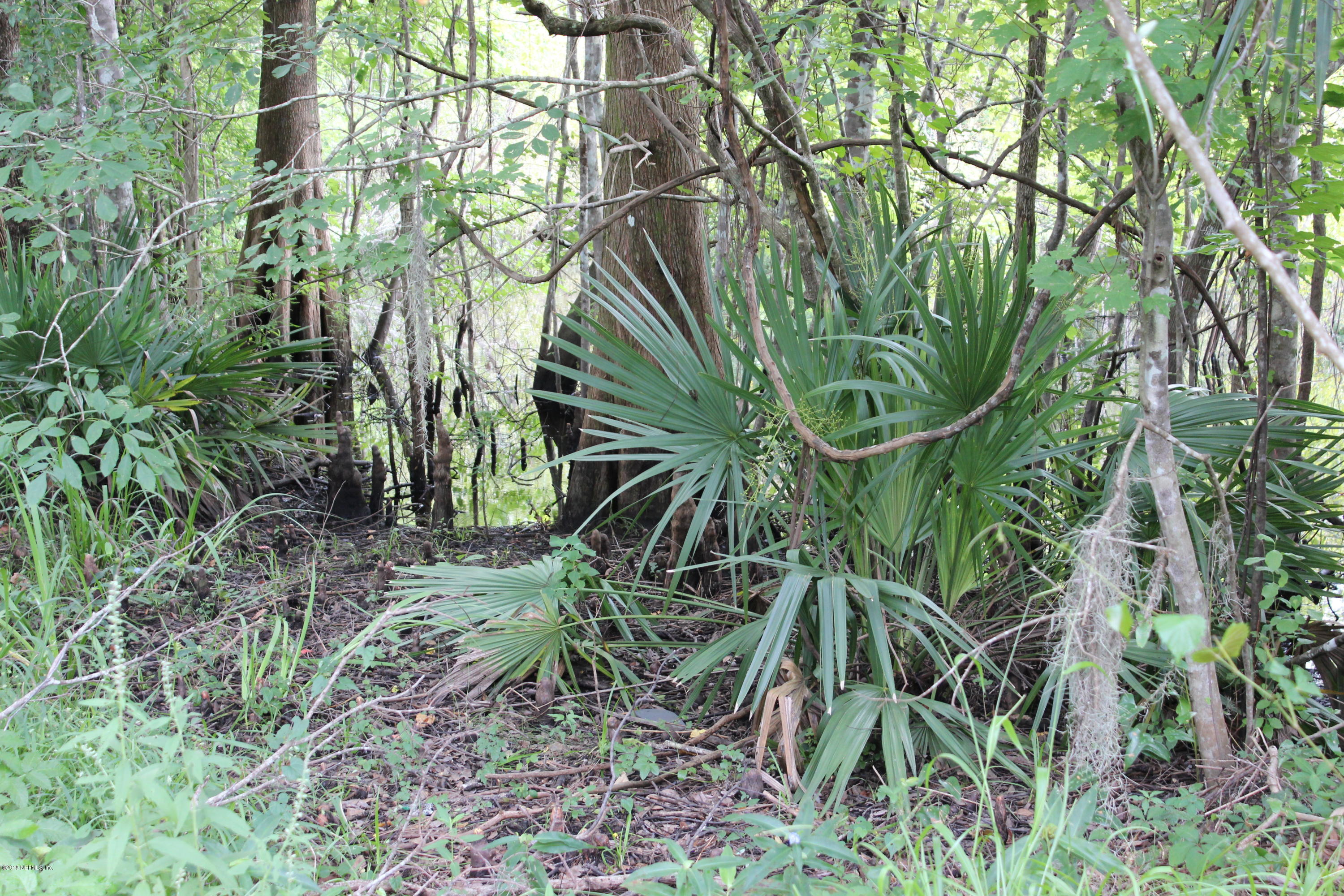 1990 Lightsey Road St. Augustine, FL 32084 - Photo 36 of 39 IMG_0056