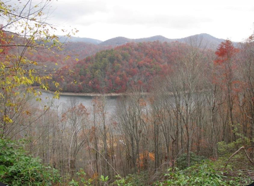 Lot#10 Viewforth Place Topton, NC 28781 - Photo 1 of 1 Main View