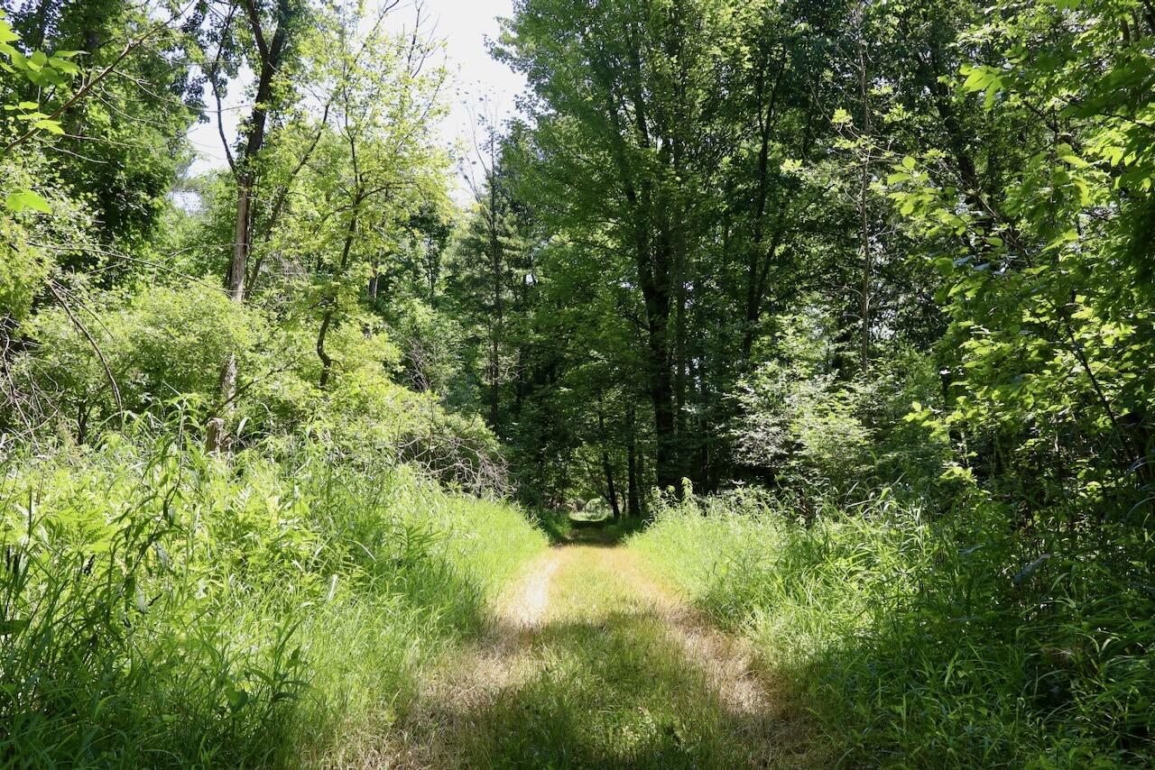 4718 Church Road Six Lakes, MI 48886 - Photo 25 of 76 025