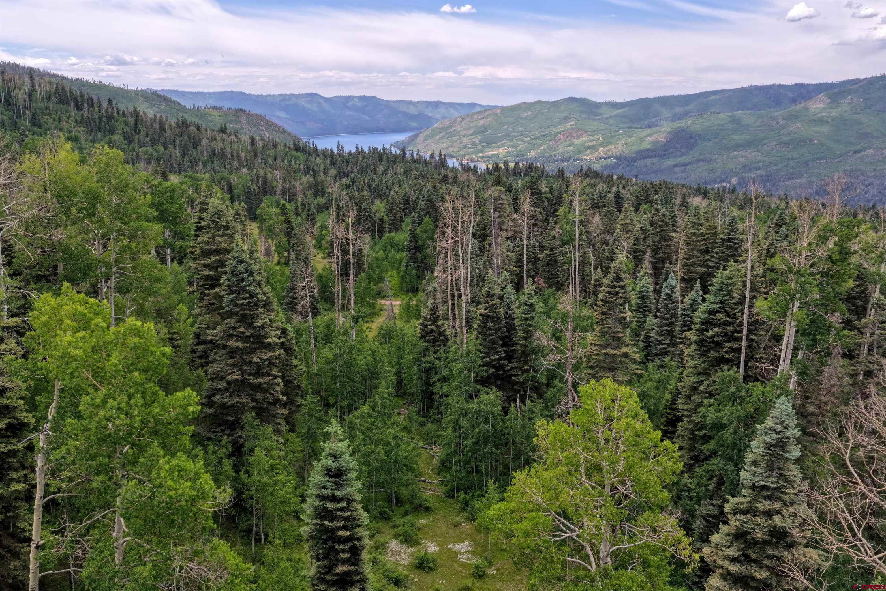 4556 Middle Mountain Road Bayfield, CO 81122 - Photo 4 of 11