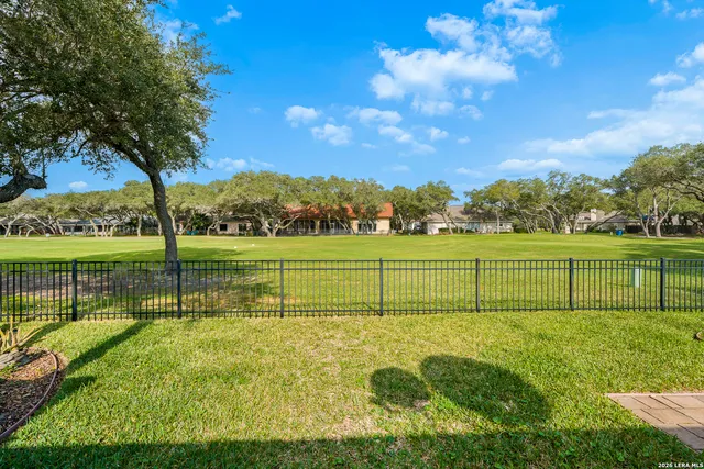 a view of a park with large trees