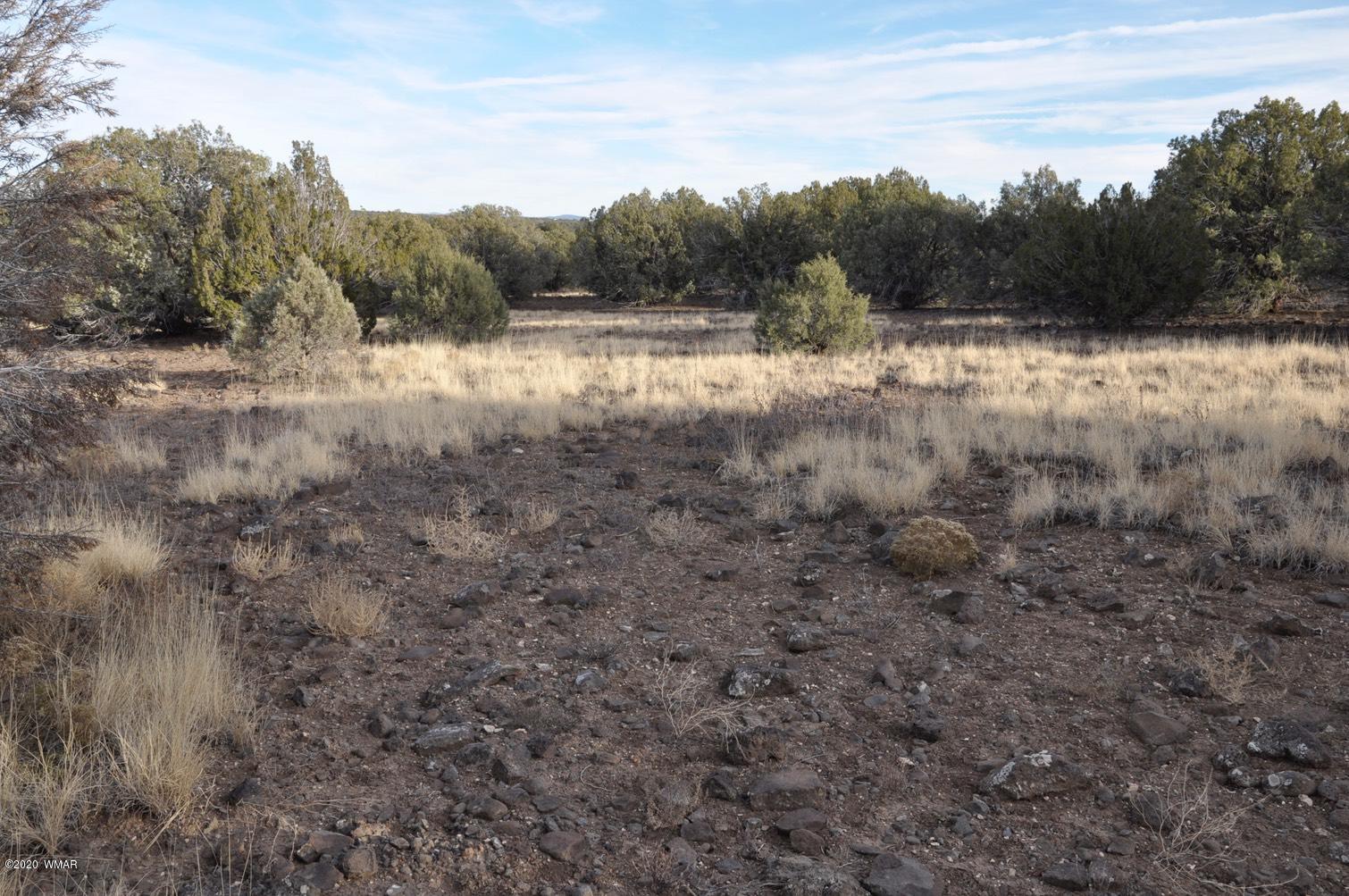 2157-65 Sitgreaves Ranch Road Show Low, AZ 85901 - Photo 11 of 17