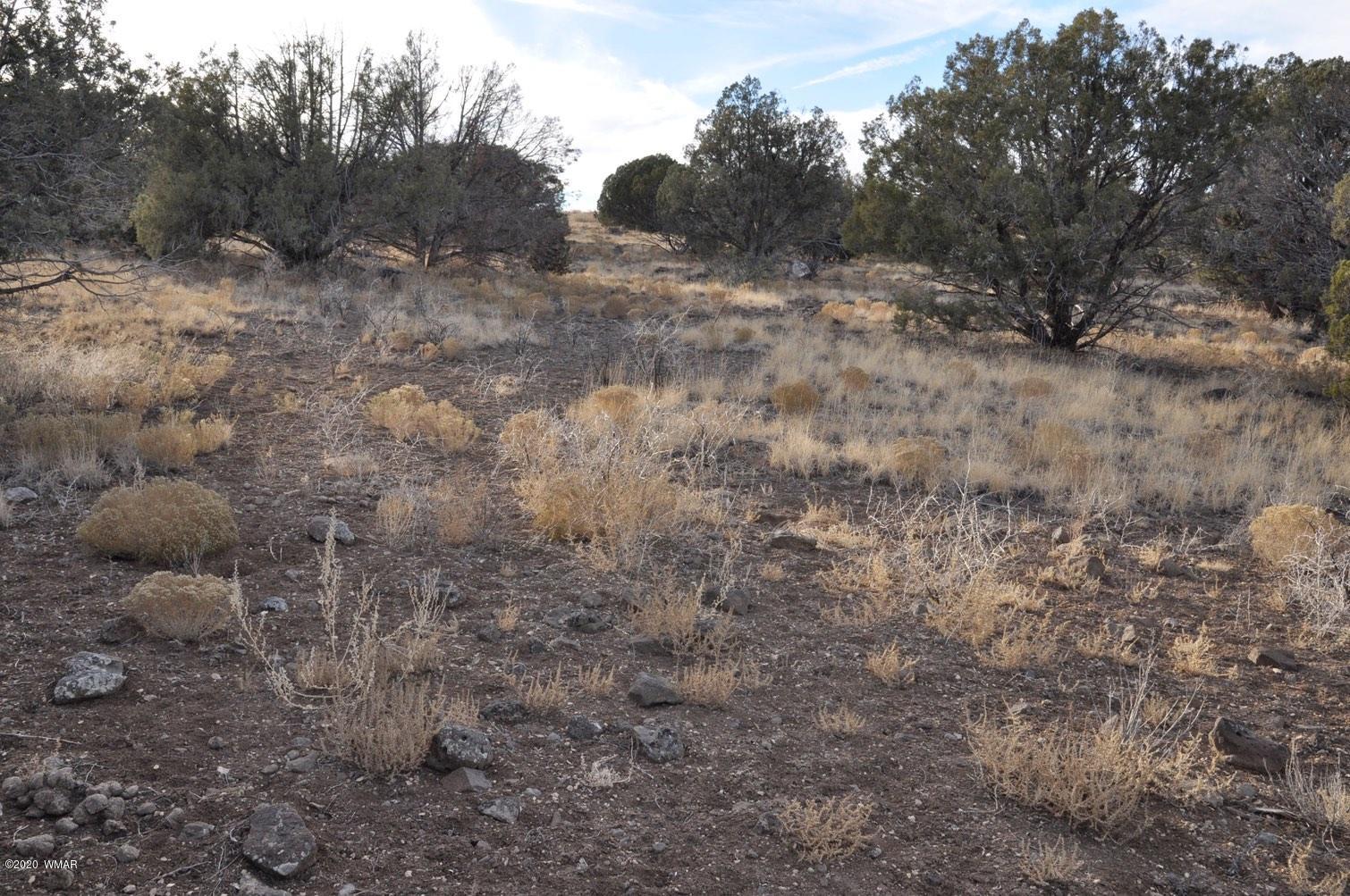 2157-65 Sitgreaves Ranch Road Show Low, AZ 85901 - Photo 12 of 17