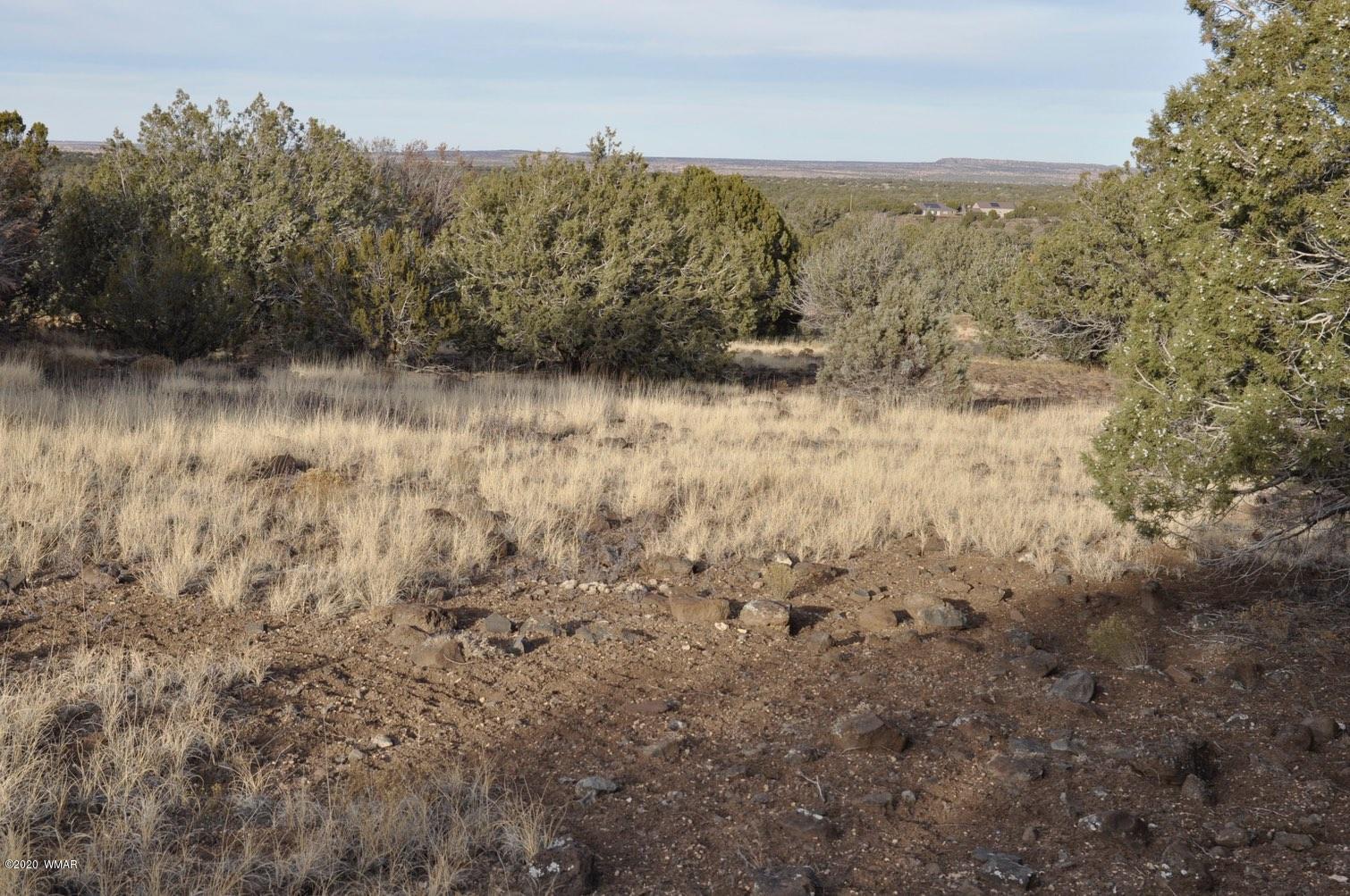 2157-65 Sitgreaves Ranch Road Show Low, AZ 85901 - Photo 13 of 17