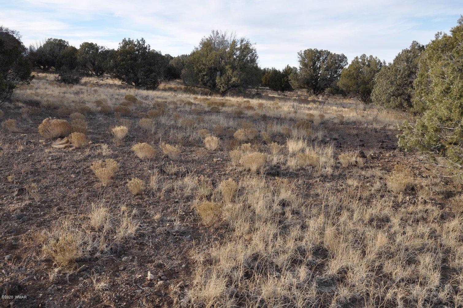 2157-65 Sitgreaves Ranch Road Show Low, AZ 85901 - Photo 14 of 17