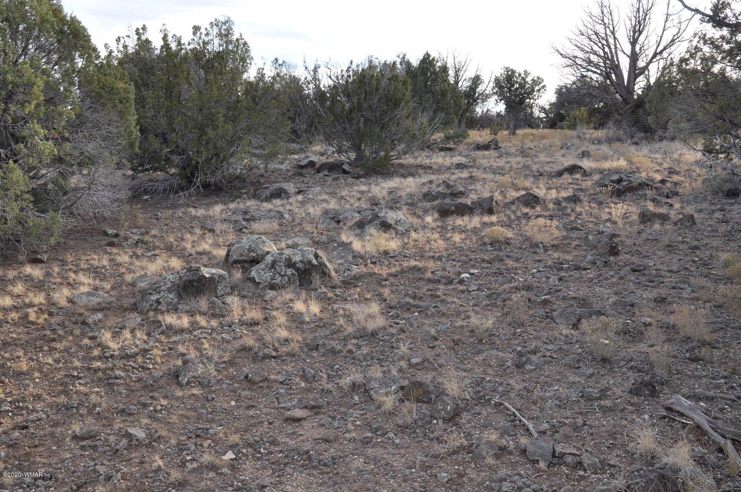 2157-65 Sitgreaves Ranch Road Show Low, AZ 85901 - Photo 15 of 17
