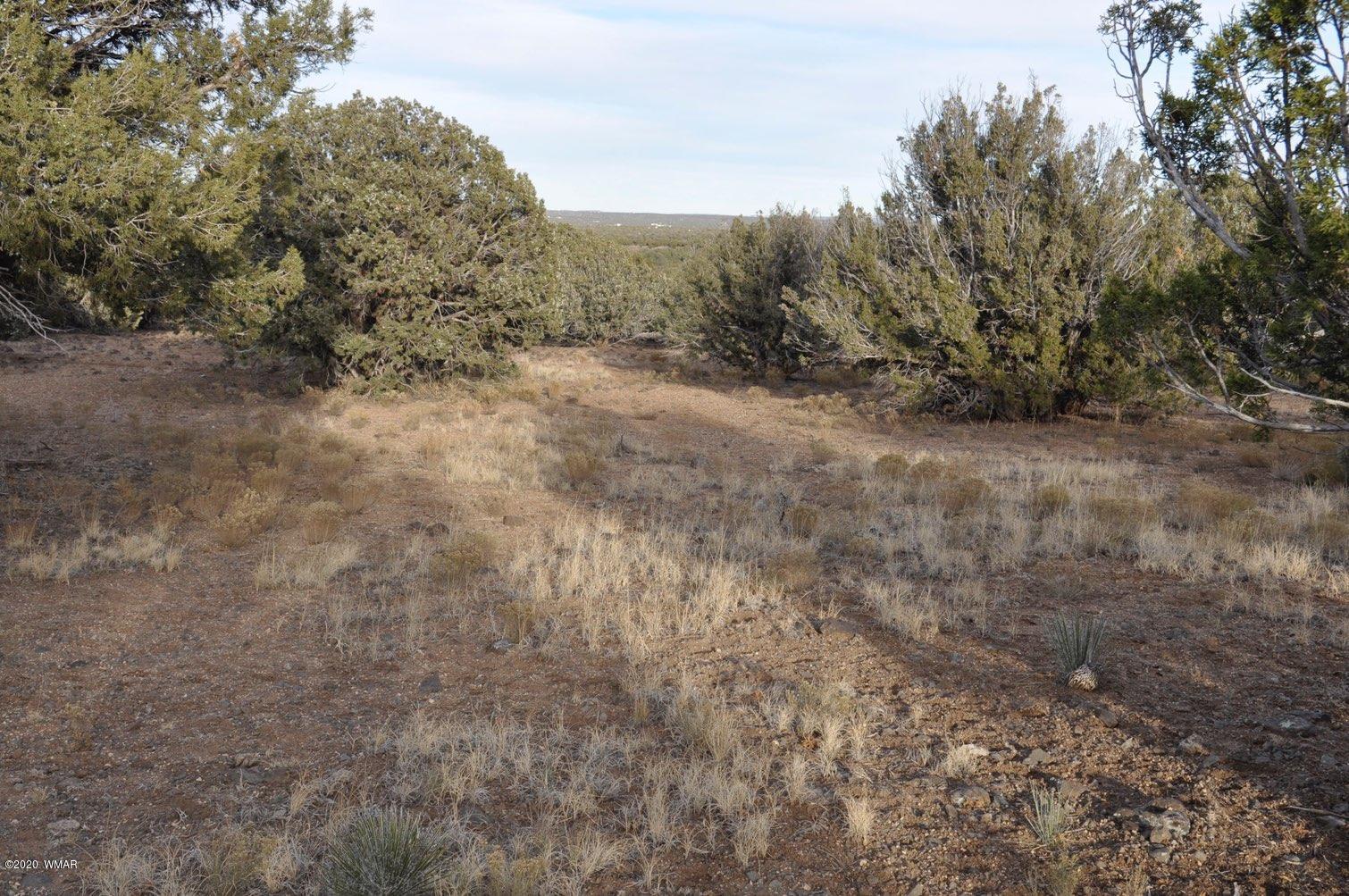 2157-65 Sitgreaves Ranch Road Show Low, AZ 85901 - Photo 16 of 17
