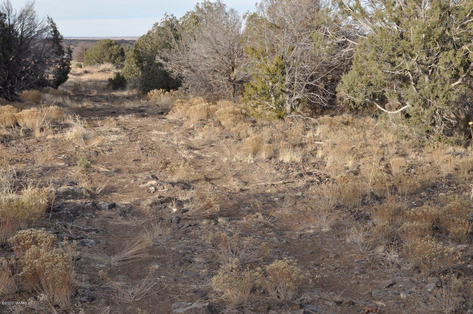 2157-65 Sitgreaves Ranch Road Show Low, AZ 85901 - Photo 3 of 17