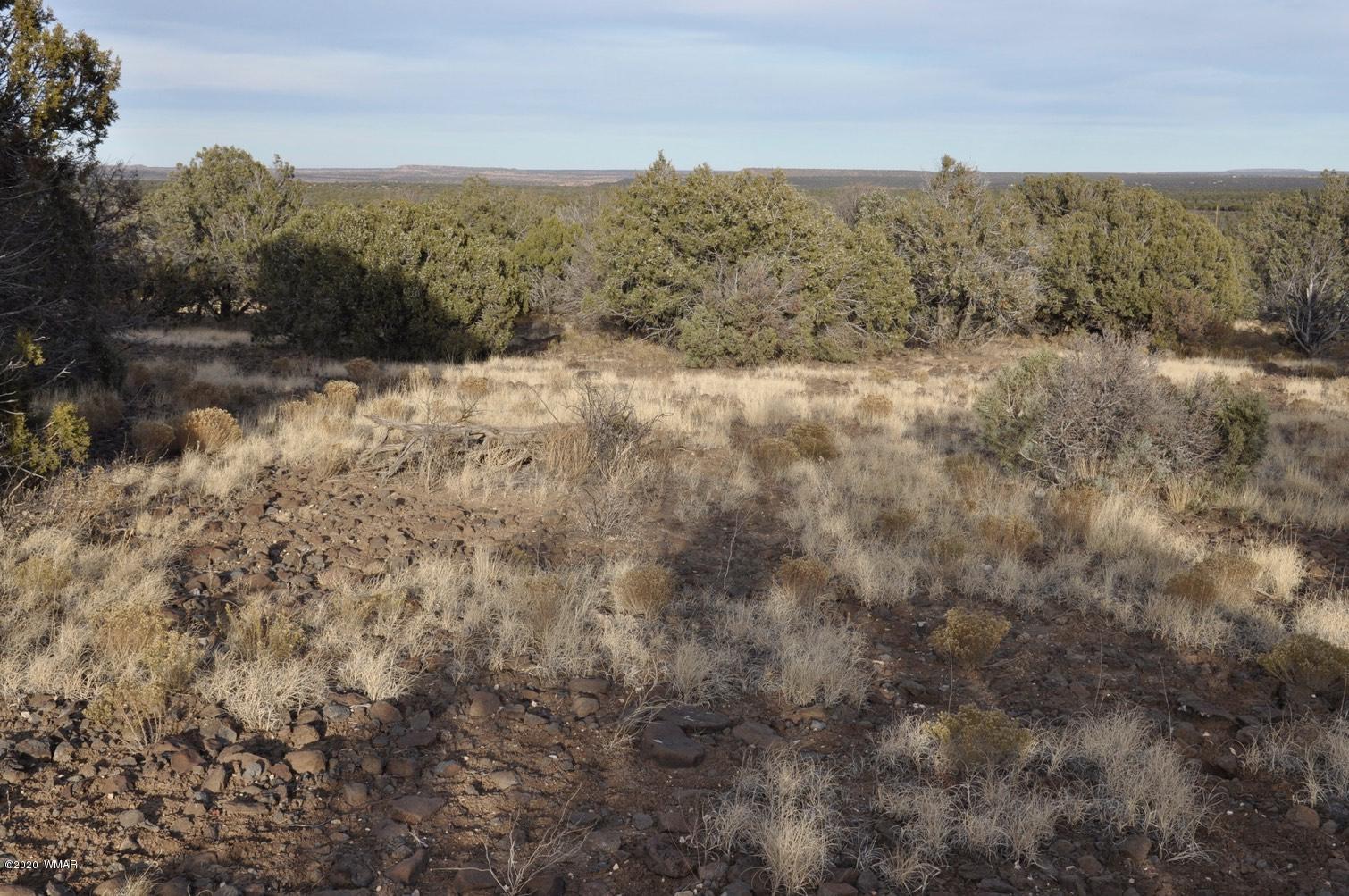 2157-65 Sitgreaves Ranch Road Show Low, AZ 85901 - Photo 4 of 17