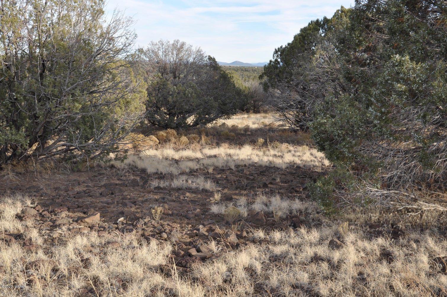 2157-65 Sitgreaves Ranch Road Show Low, AZ 85901 - Photo 5 of 17