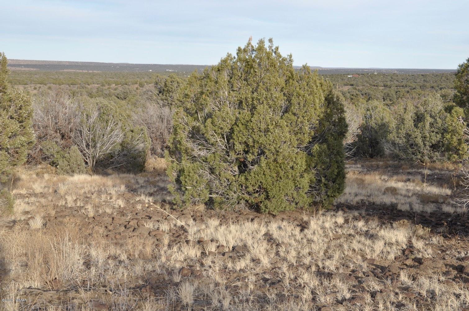 2157-65 Sitgreaves Ranch Road Show Low, AZ 85901 - Photo 7 of 17
