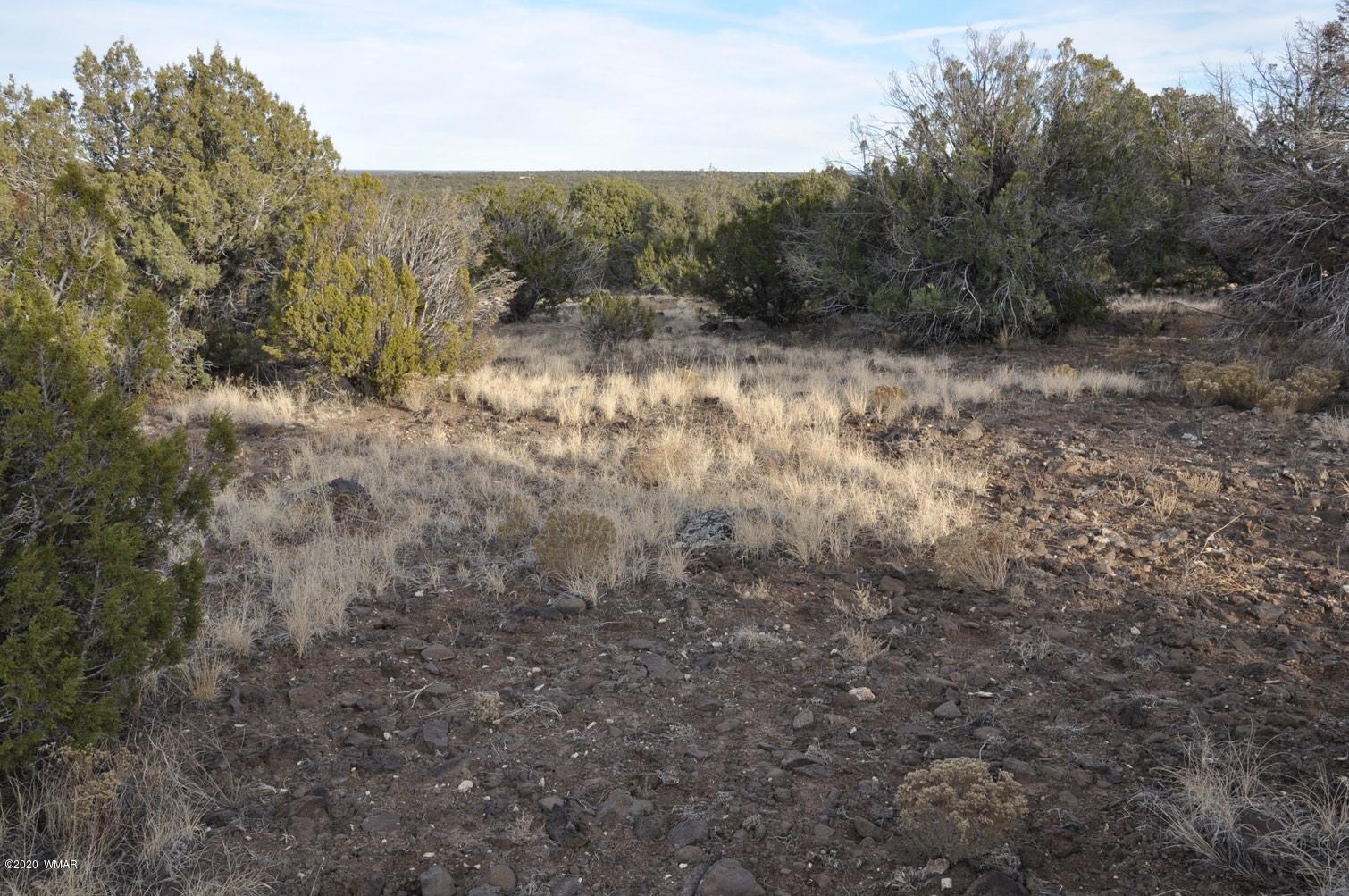 2157-65 Sitgreaves Ranch Road Show Low, AZ 85901 - Photo 8 of 17