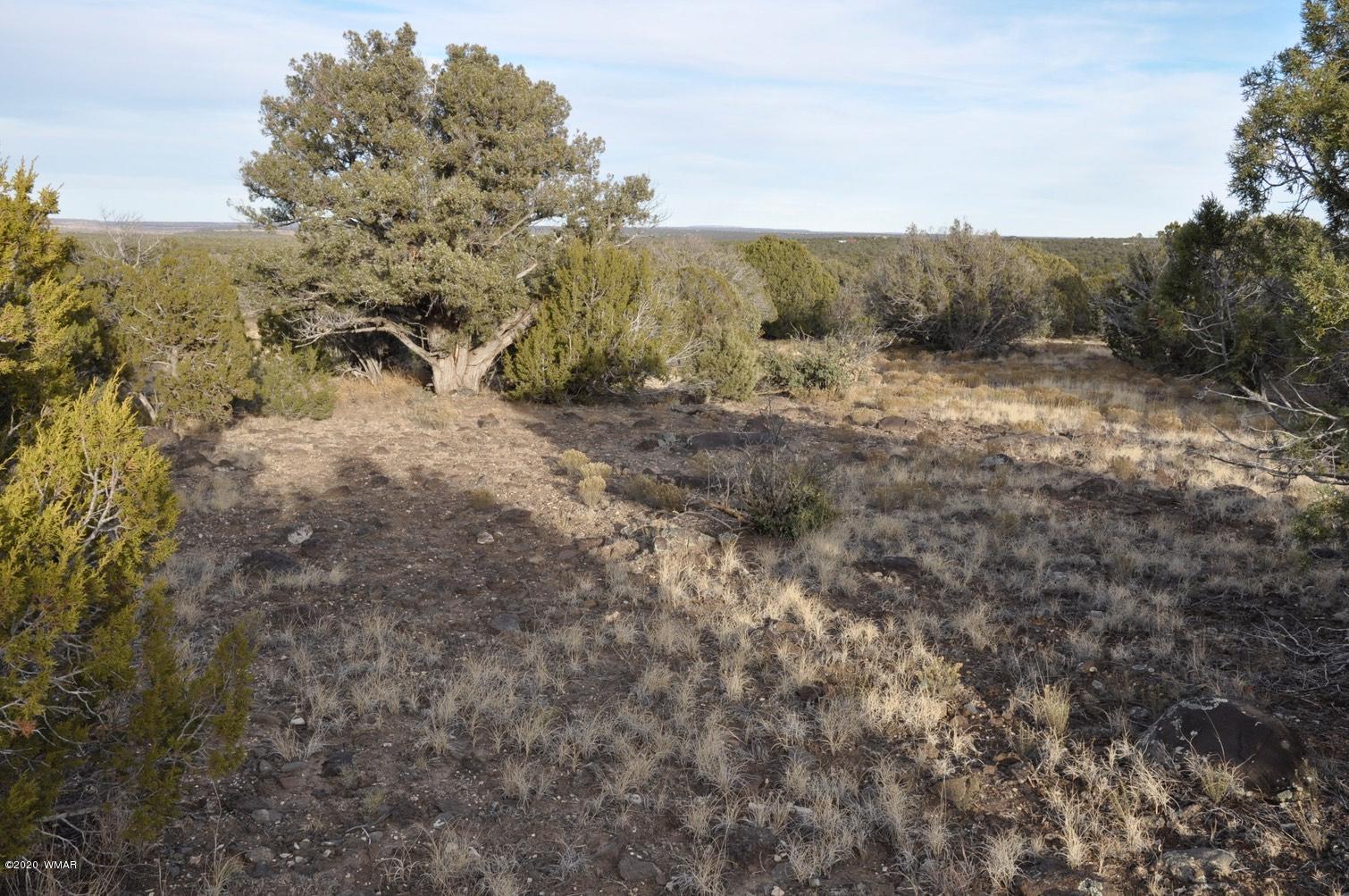 2157-65 Sitgreaves Ranch Road Show Low, AZ 85901 - Photo 9 of 17