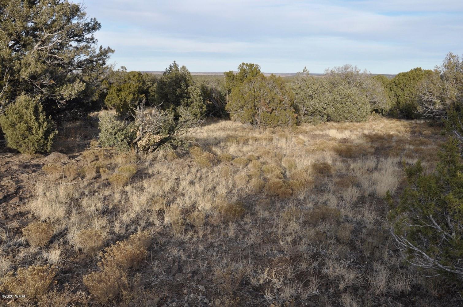 2157-65 Sitgreaves Ranch Road Show Low, AZ 85901 - Photo 10 of 17