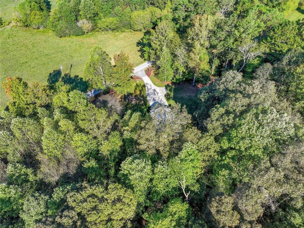 275 Old Whitestone Road West Talking Rock, GA 30175 - Photo 28 of 30 a view of a lake with large trees