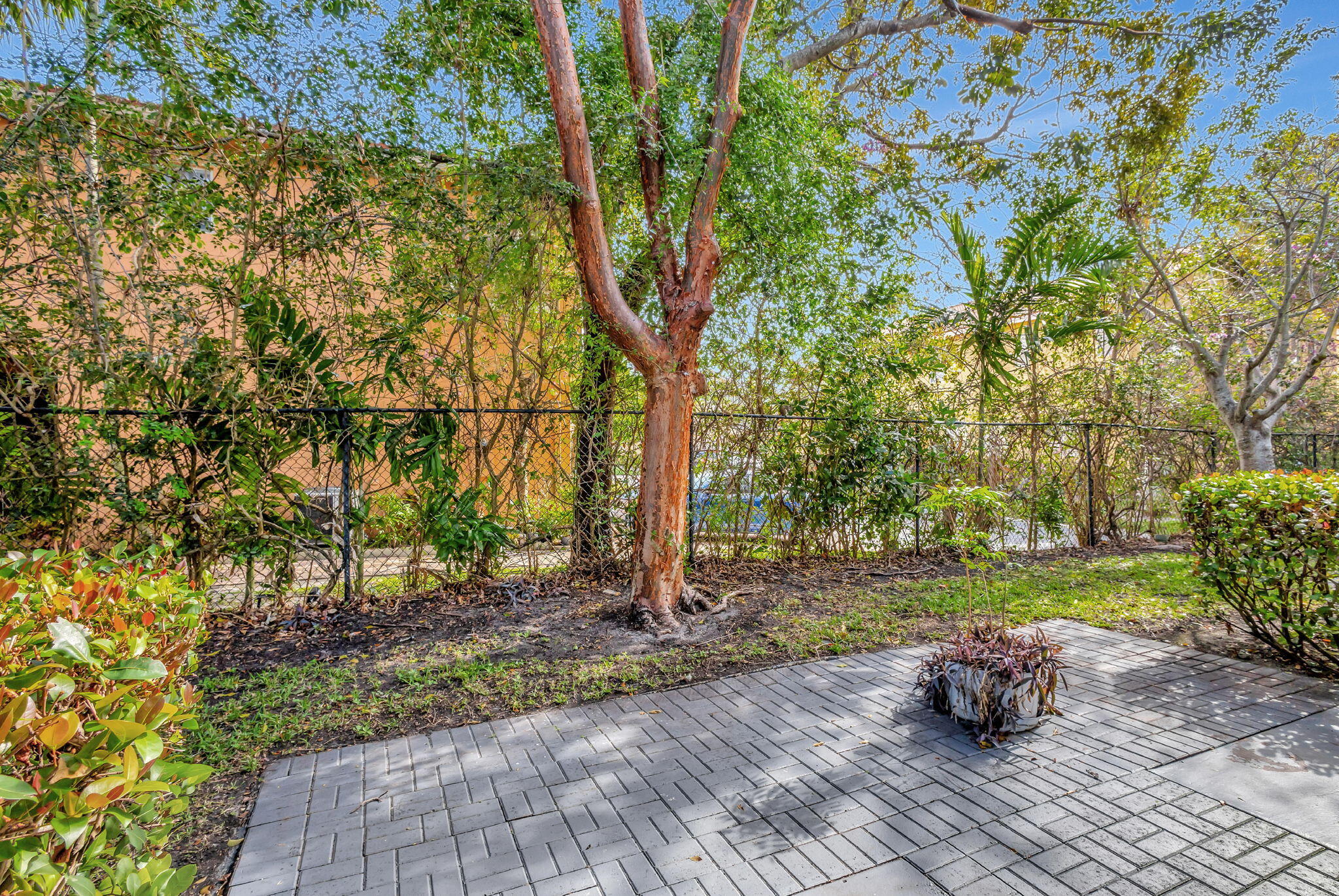 1907 Hibiscus Lane Riviera Beach, FL 33404 - Photo 40 of 73 40-web-or-mls-5D1A6622