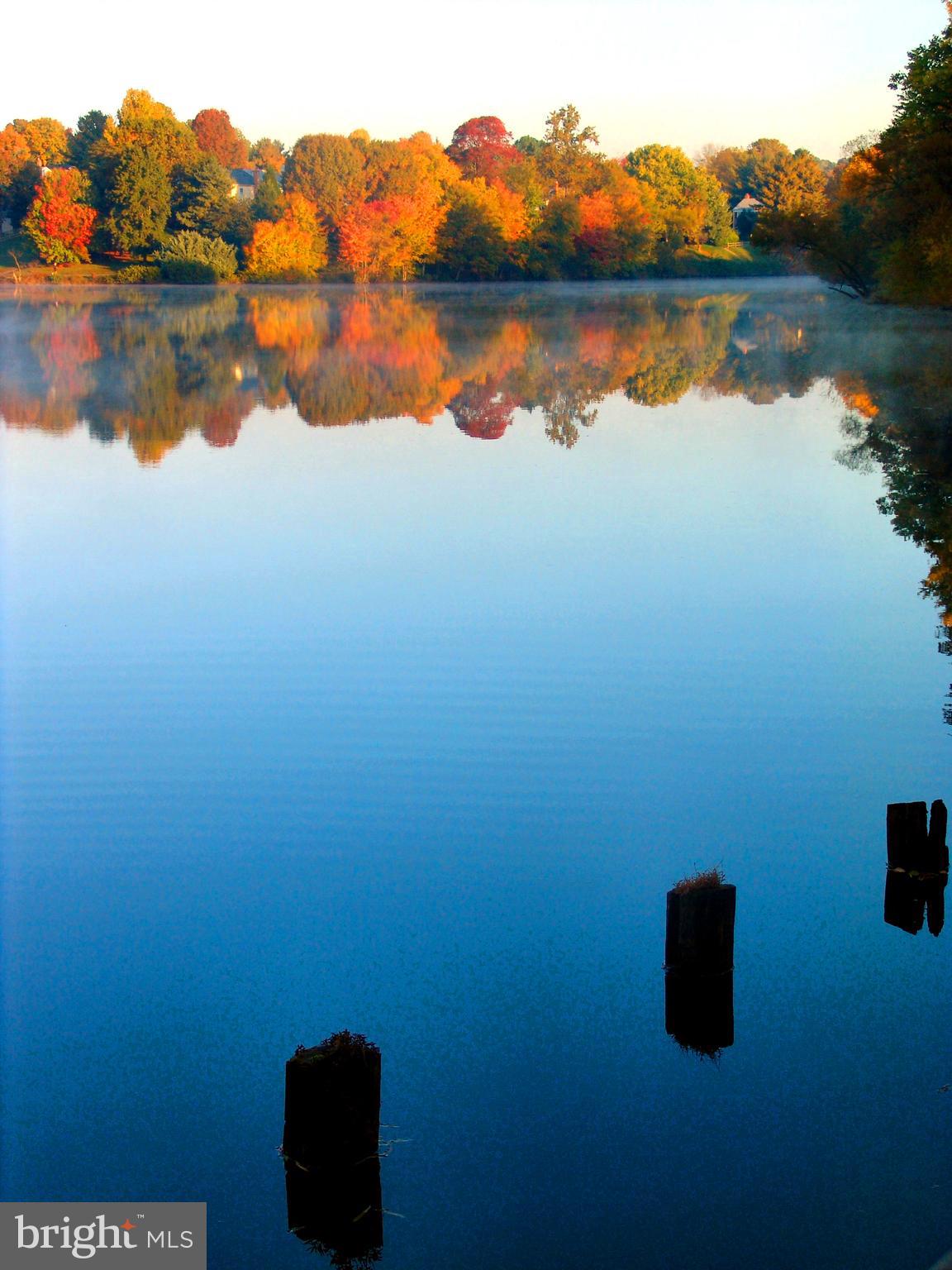 5480 Lighthouse Lane Burke, VA 22015 - Photo 31 of 36