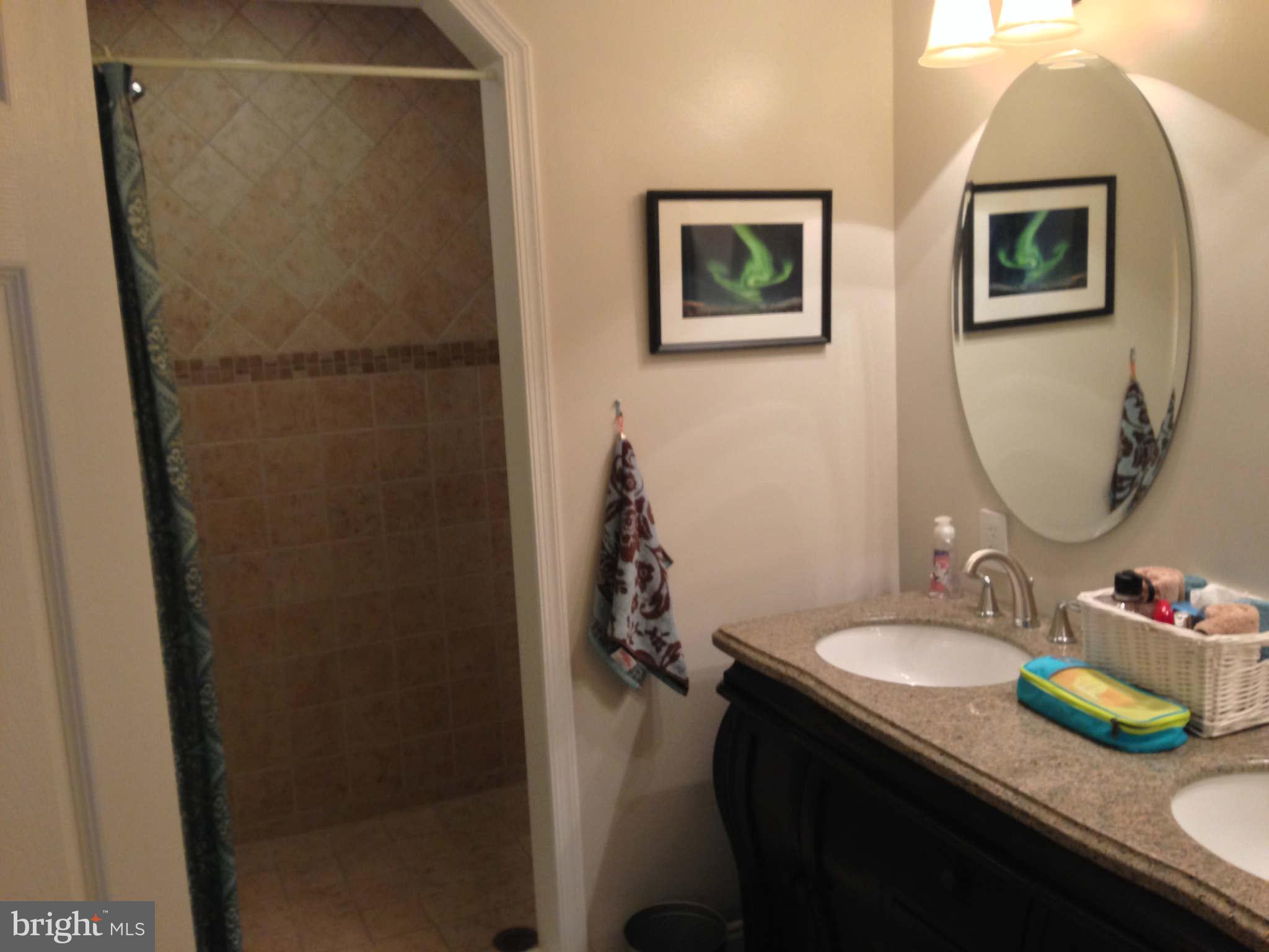 409 Fortress Way Occoquan, VA 22125 - Photo 25 of 28 Bath (Master)