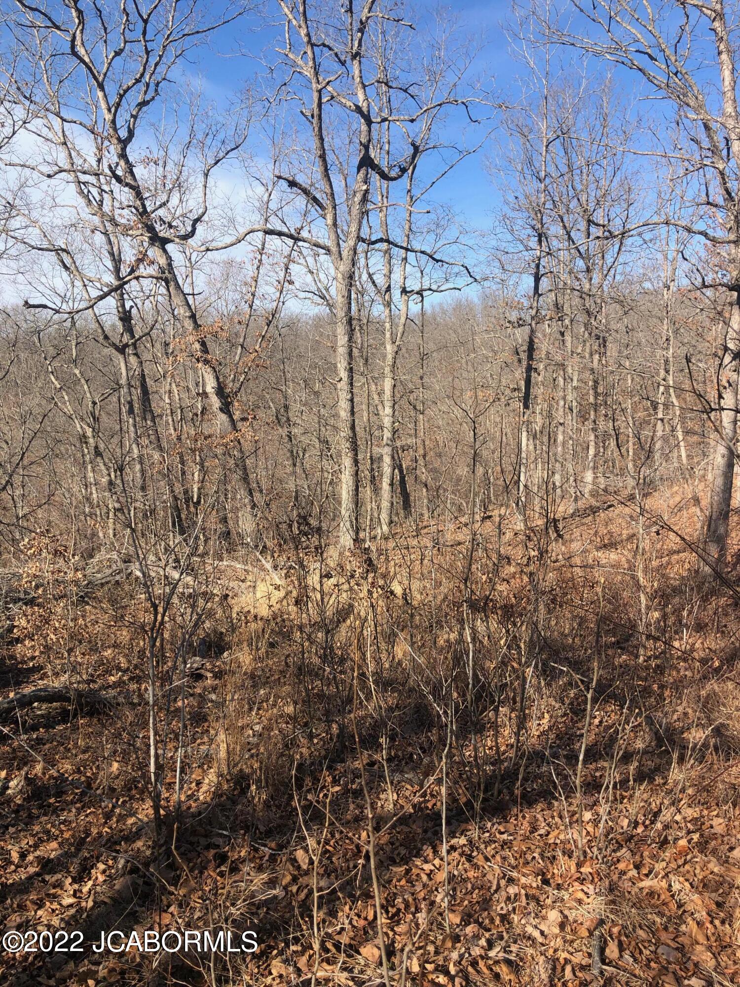 Tbd Broads Branch Road Macks Creek, MO 65786 - Photo 9 of 18