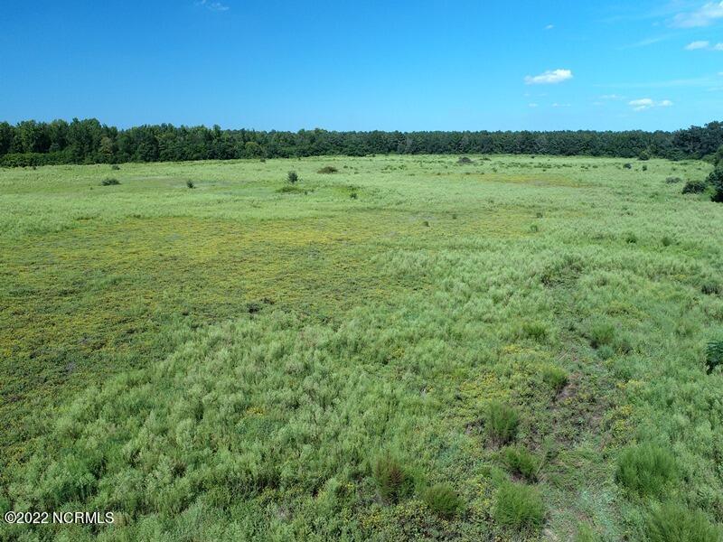 0 Gerald Road Rowland, NC 28383 - Photo 1 of 14 Drake Farm